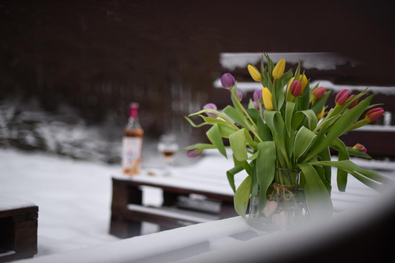 Bed and Breakfast Horizont Panzio Odorheiu Secuiesc Exterior foto