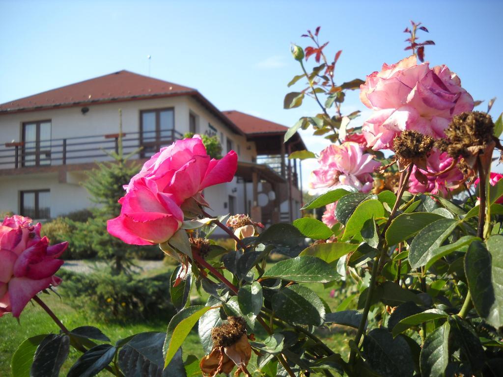 Bed and Breakfast Horizont Panzio Odorheiu Secuiesc Exterior foto